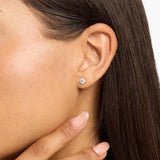 MoizyShine™ 4 Prong Earring